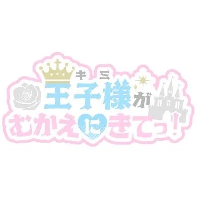 王子様（キミ）がむかえにきてっ！-きみきて-