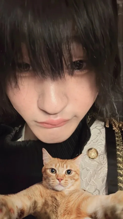 あいにーの写真