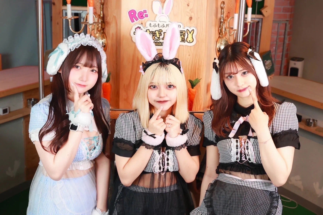 うさぎ小屋の店舗画像