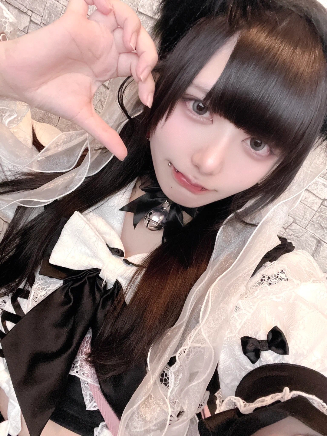 くろまめの写真