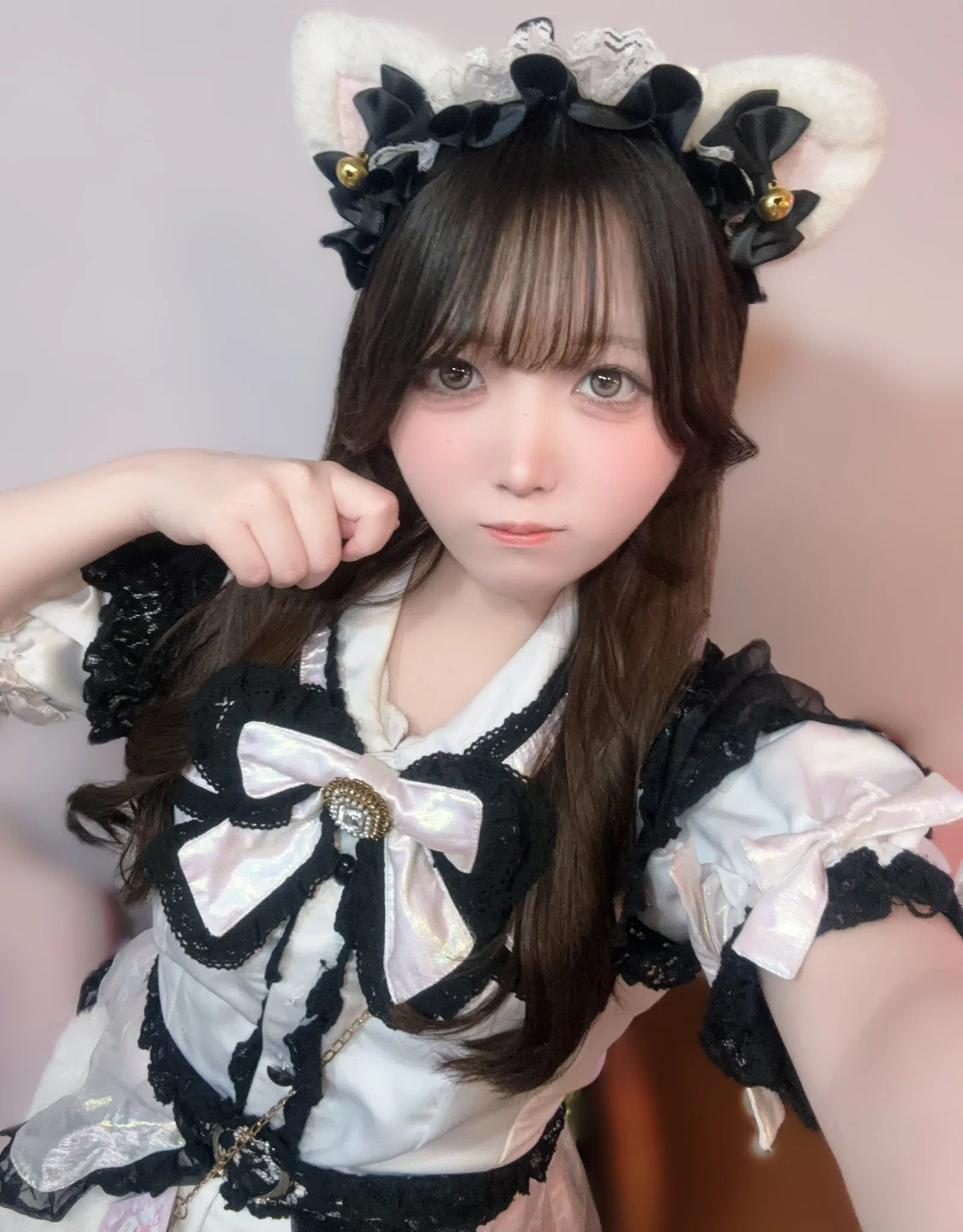 さんごの写真