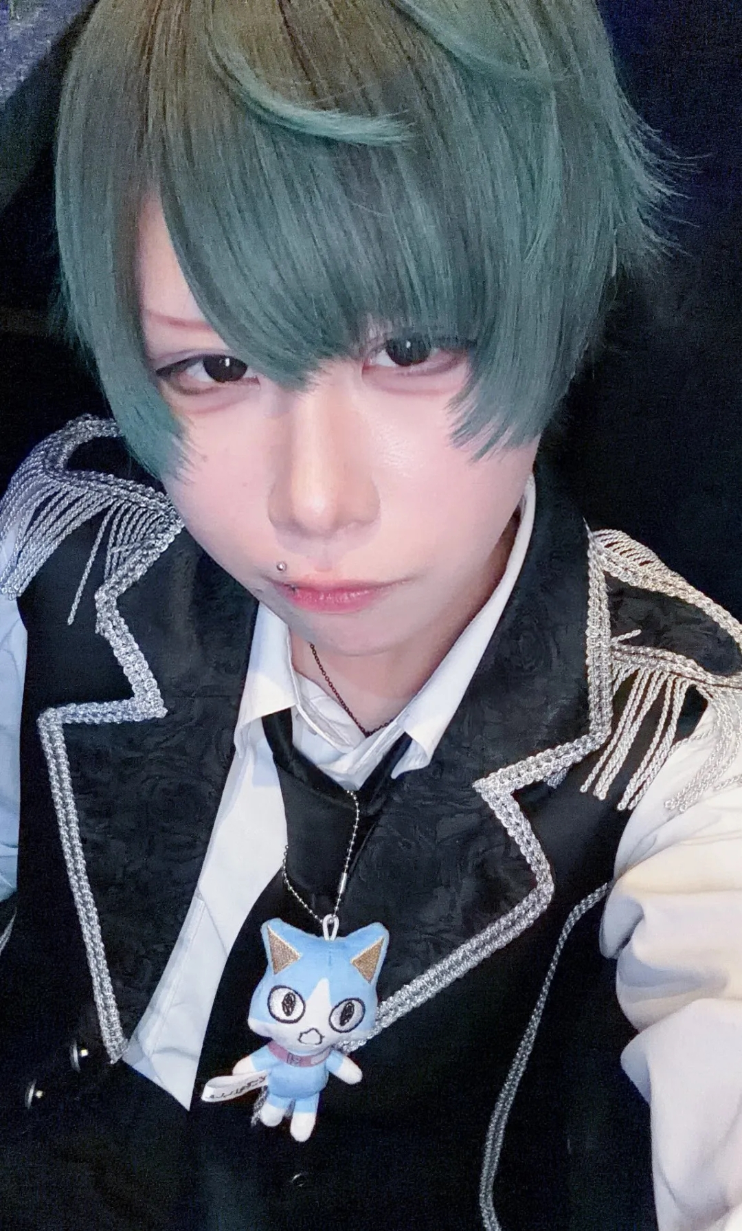キアの写真