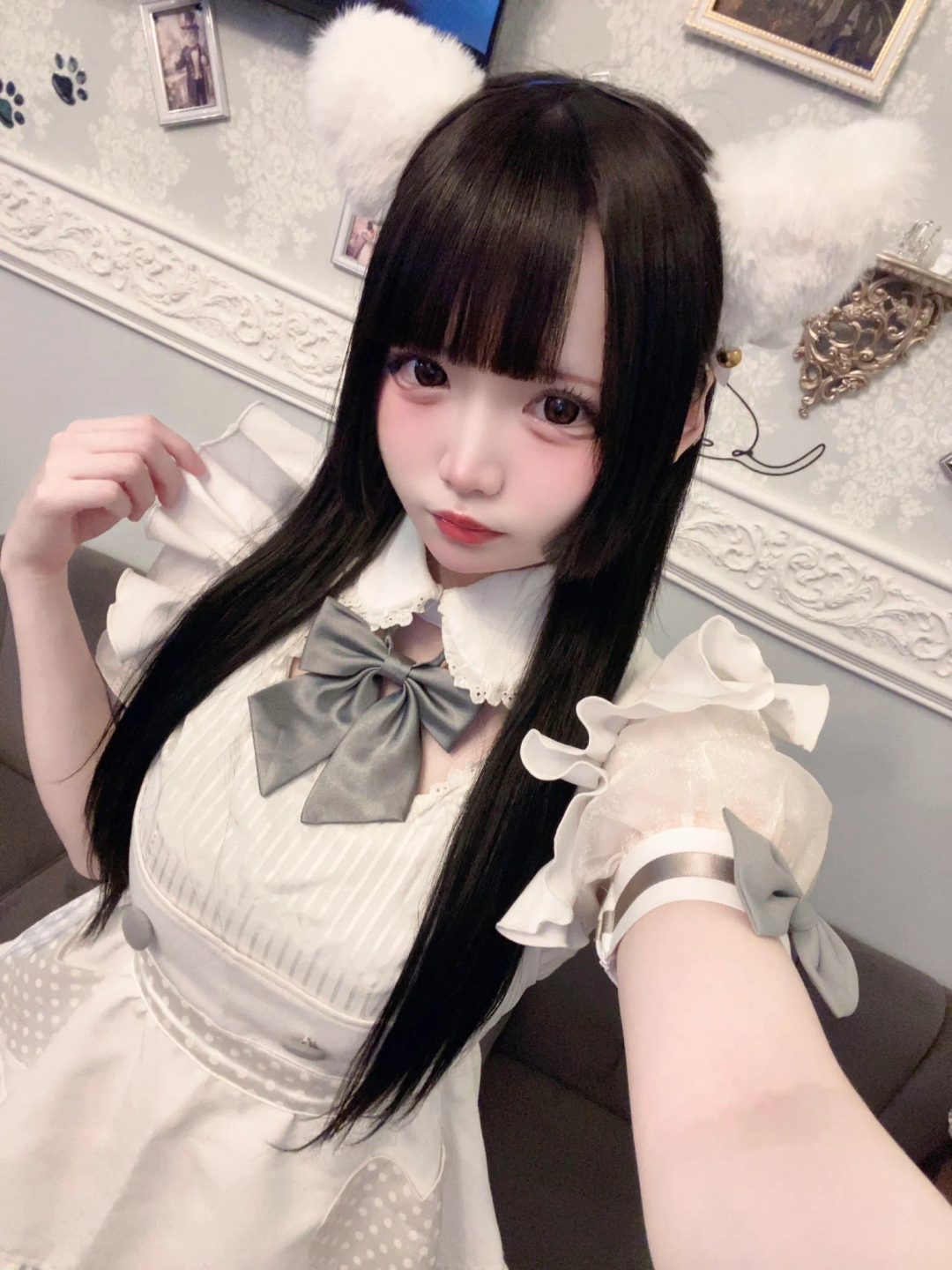 うさの写真