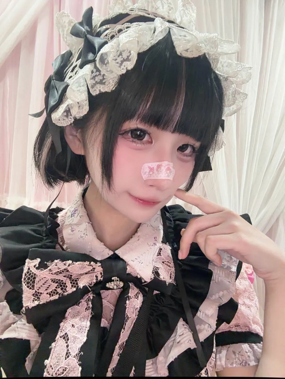 こむぎの写真