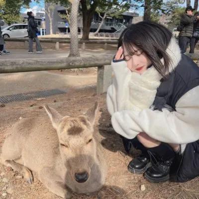 すずてんちょーの写真