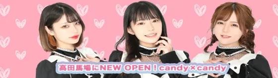 キャンディーキャンディー