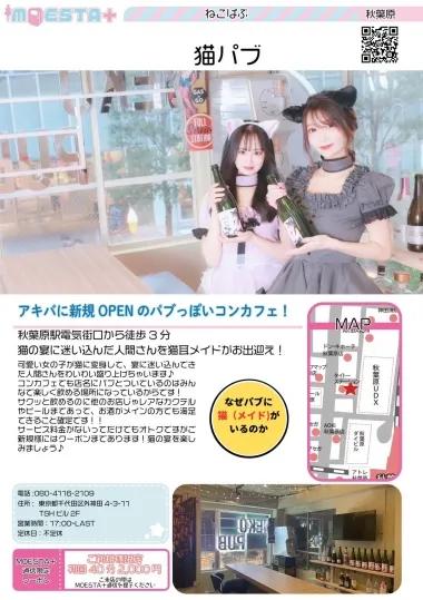 店舗内観画像