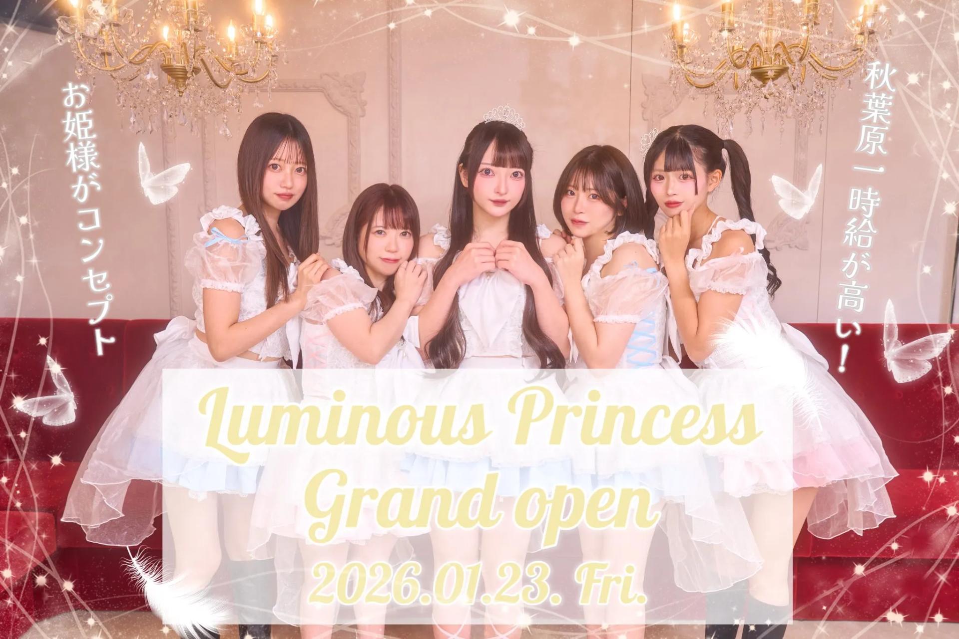ルミナスプリンセスの店舗画像