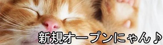 秋葉原制服リフレの店舗画像