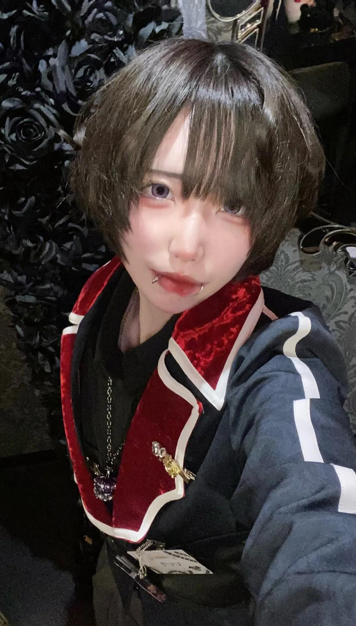 ヒビキの写真