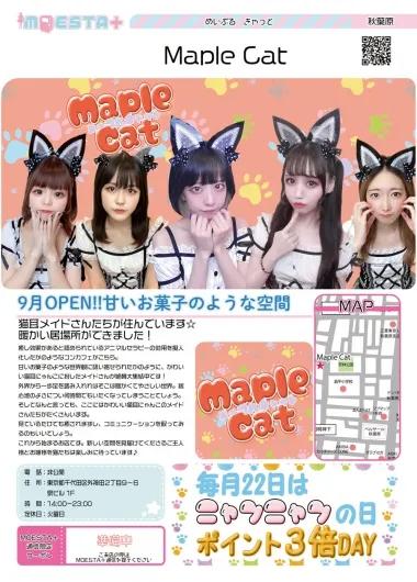 店舗内観画像