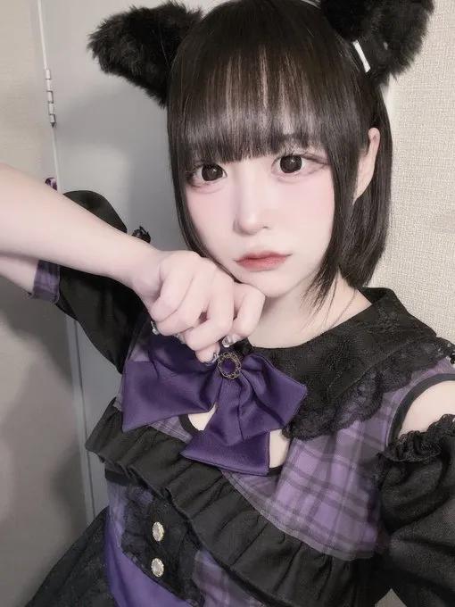 シッポライダー