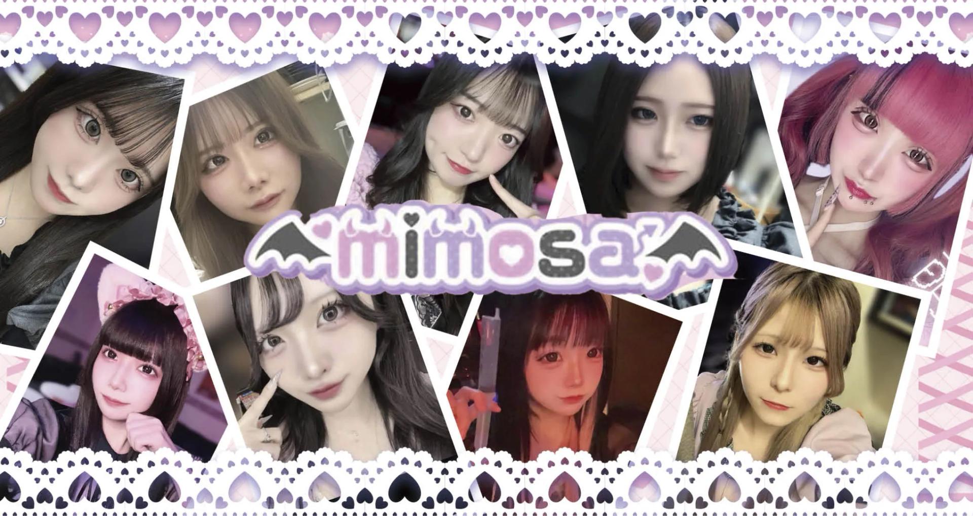 mimosa-みもざ-