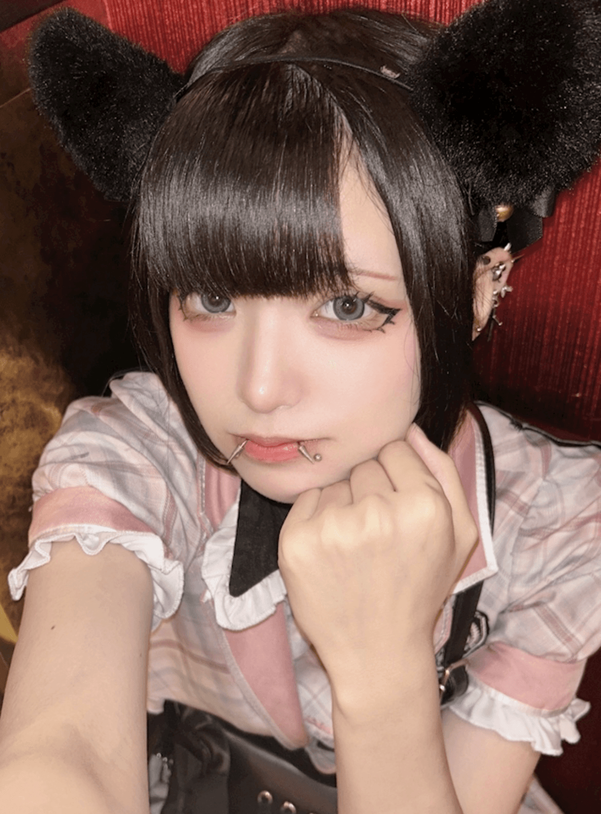 白瀬の写真