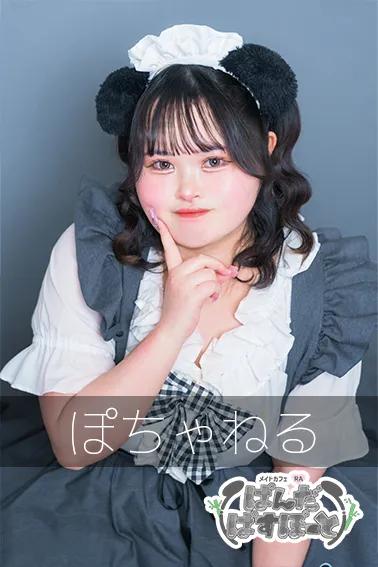 ぽちゃねる