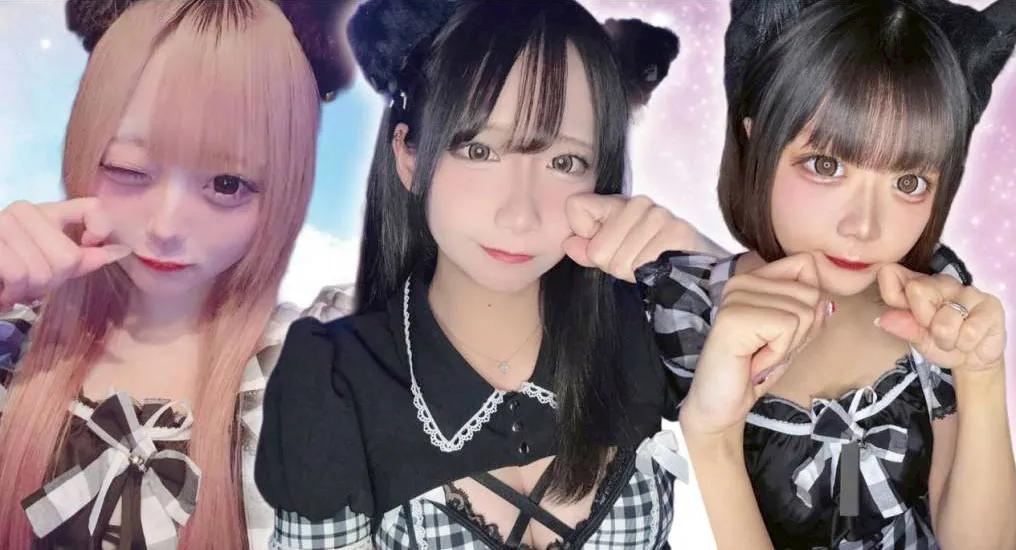 東十条 黒猫は幸運の象徴ですか？