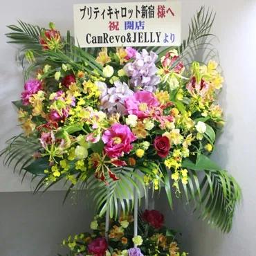 image 20513