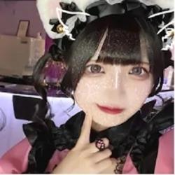 きぬの写真