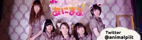 あにまるピットの店舗画像