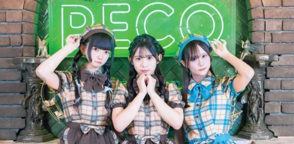 Studio PECO-すたじおぺこ-
